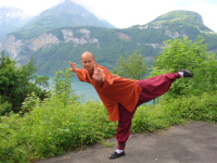 Taiji Quan
